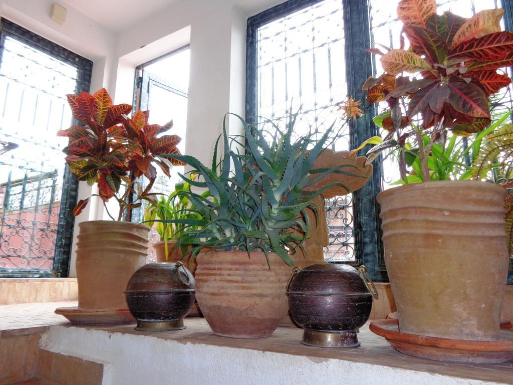Riad Sesame Marrakesh Bagian luar foto